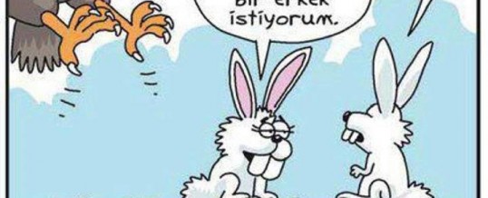 Umulan ile Bulunan