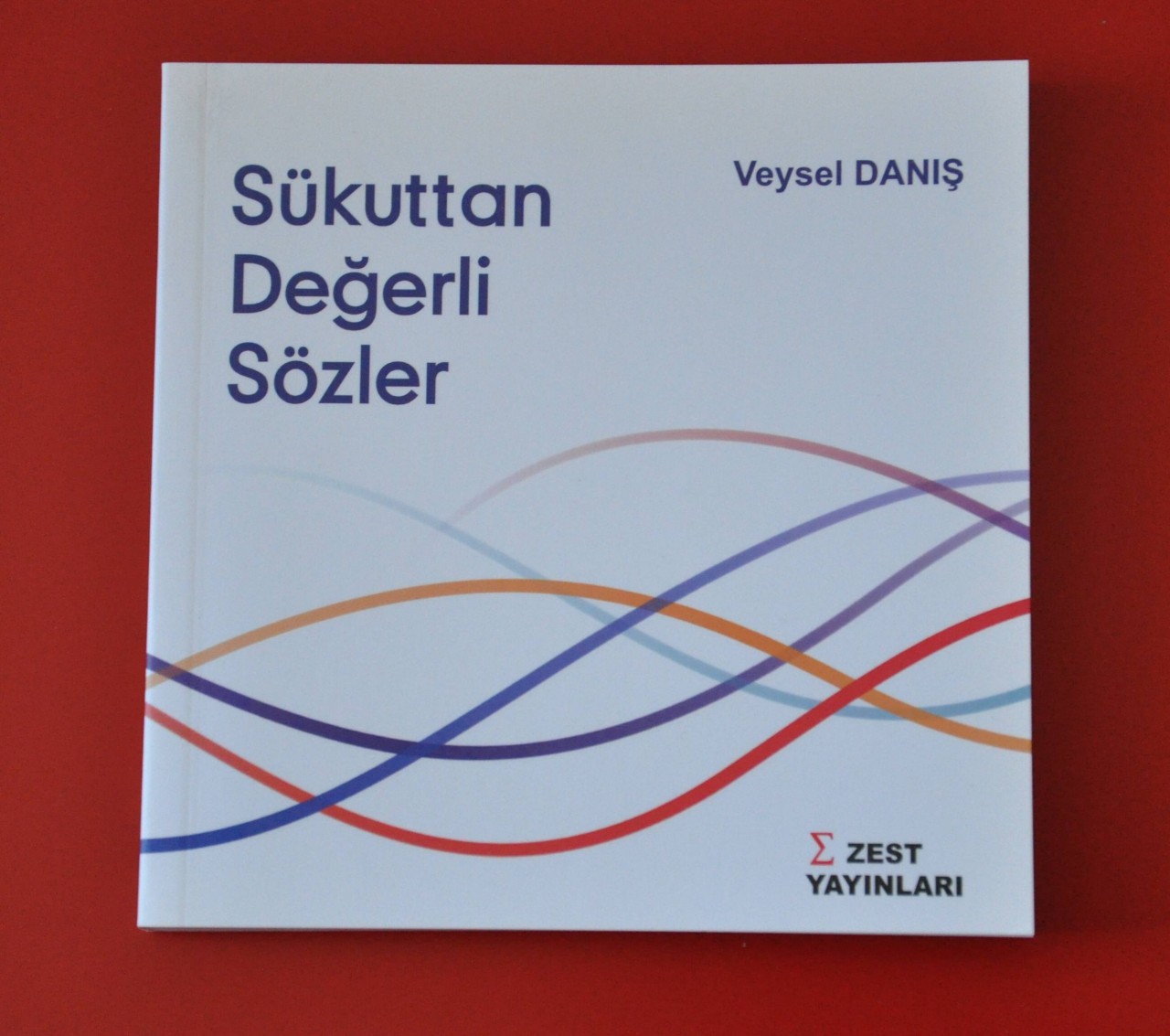 Sükuttan Değerli Sözler, Veysel Danış, ZEST Yayınları